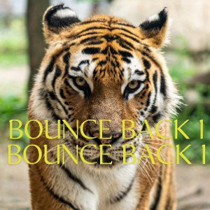 BOUNCE BACK I