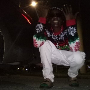 PLG ENT