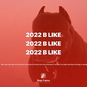 2022 B Like
