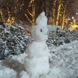 Новый, новый год!