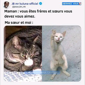 rien 