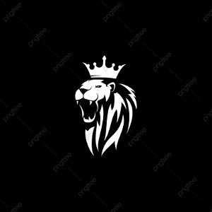 Ykpharaoh -war zone mmm