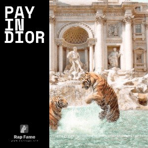 pay in Dior 