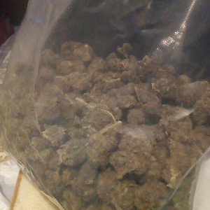 what up babygirl, I got hot🔥long bars