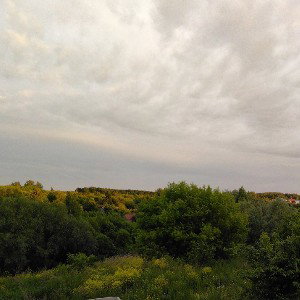 Полюса