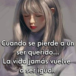 !no pueden !