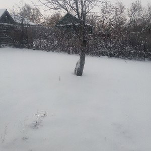 новогодния  песня 