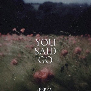 YOU SAID GO !