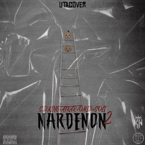 NARDEBON 11/نردبون۲