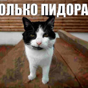 хуйнякакая-то