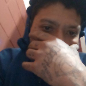 b>@blos