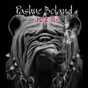 Pashne Boland