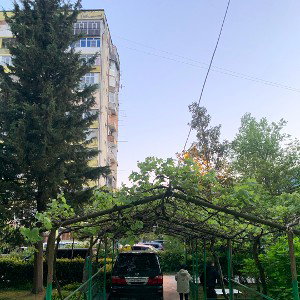 трек zero