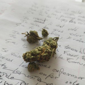 FUMEURS DE WEEDS 