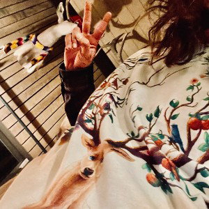•_HigH5 PeacE SigN_•