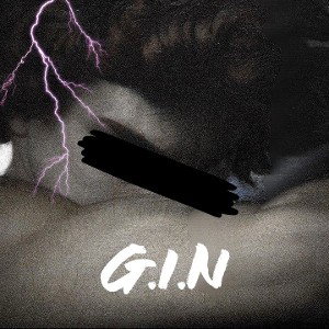 G.I.N