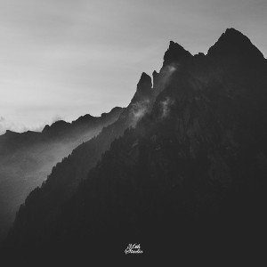 Tiger Swiss - Realise
