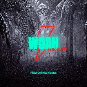 Woah Featuring Keese_040533