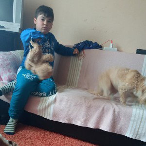 băgați un like