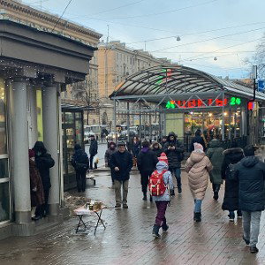 Общество-система 