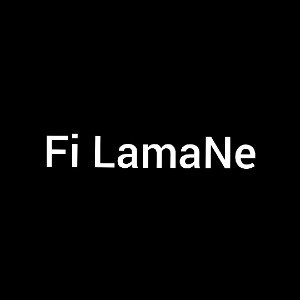 ADEM1R23 - Fi LamaNe