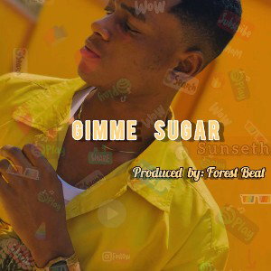 Sunseth_Gimme Sugar