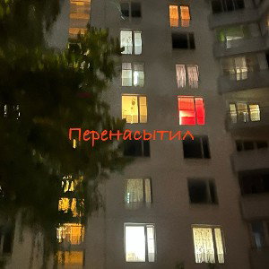 Перенасытил