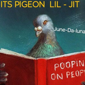 it's pigeon lil - jit