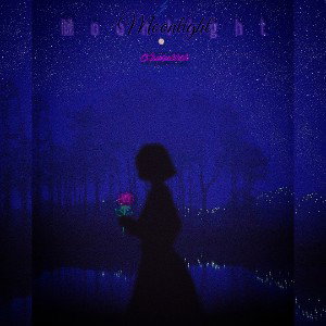 moonlight 🌙