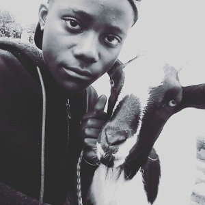 fake freestyle