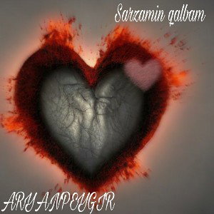 SARZAMIN QALB MN