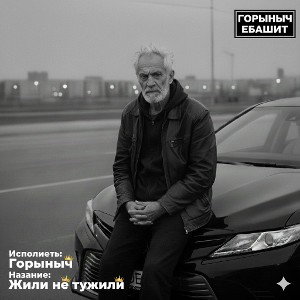 жили не тужили