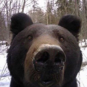 БАЛАГАН