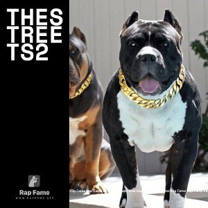 Thestreets2