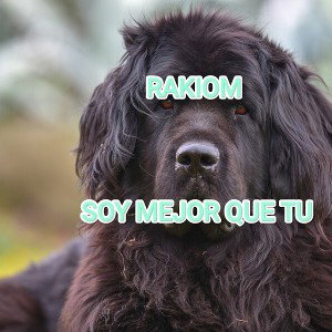 RAKIOM - mejor q tu