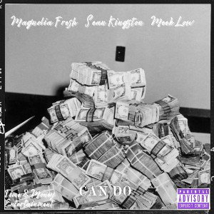 Can Do (feat. Sean Kingston & Meek Low)