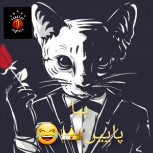 SOLTAN