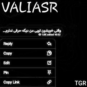 free style valiasr
