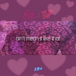 ain’t mean it like that | sippah