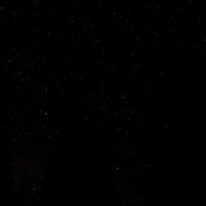 BrooklynZoo (22:30:47)