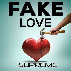 Fake Love