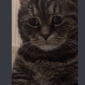 Сильно