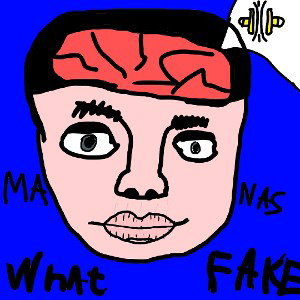 WHAT FAKE