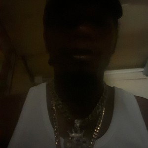 bdog  mix 