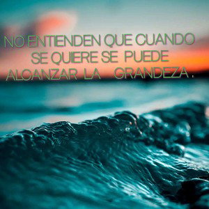  te conoci