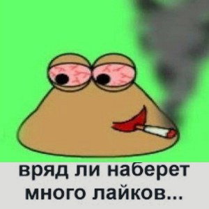 я люблю гориллу