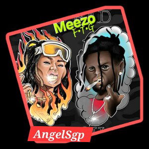 Still Can't Copy Dis