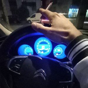 não  fiz nada 