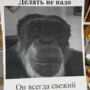 Птицей.