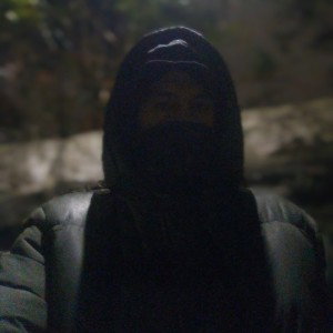 nyt freestyle 